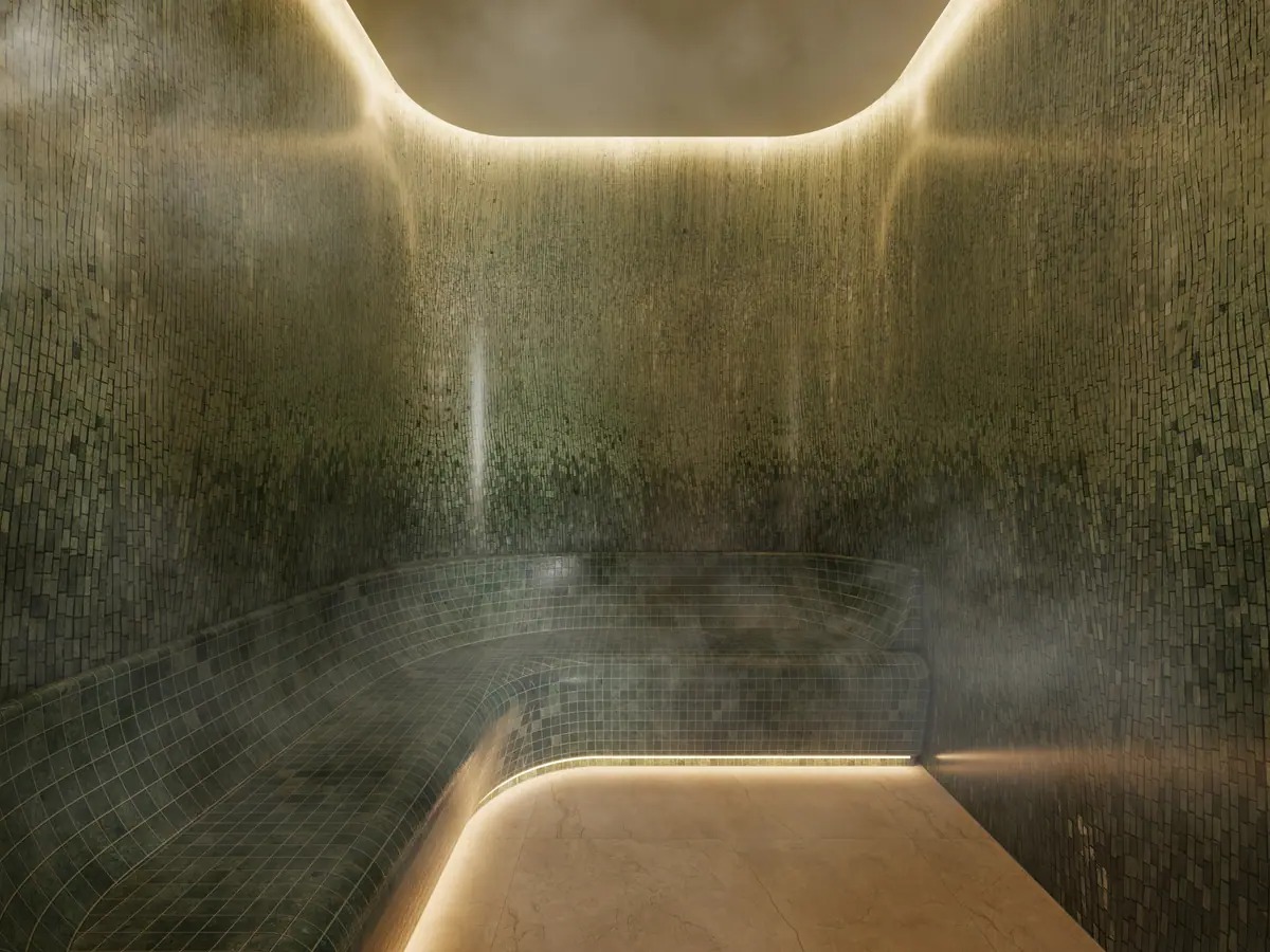 Steam bath Palm River